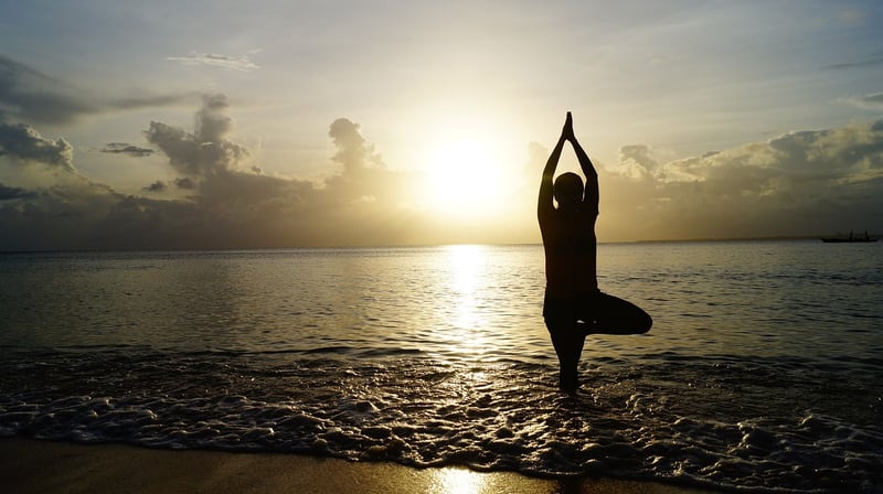 Guided Visualization